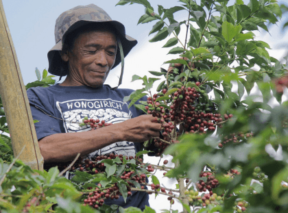 Handpicked with care