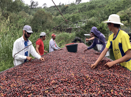 With nature’s touch